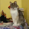 Отзыв от Юлия Титова